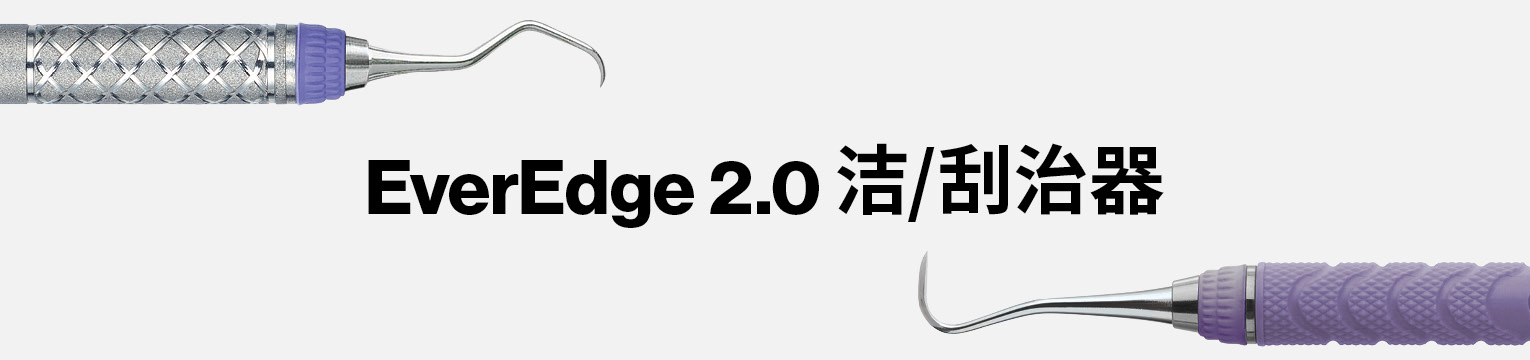 EverEdge 2.0