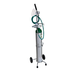 PORTABLE OXYGEN SYSTEM