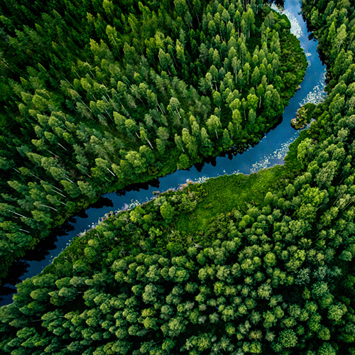 Image of a female dentist in a dentist's office, using a tablet, representing HuFriedyGroup's commitment to environmental sustainability in their products and operations, as guided by their Environmental Sustainability Subcommittee.